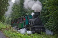 /album/fotogalerie-mladejovska-uzkokolejka-a-muzeum/mladejovska-uzkokolejka-jpg1/